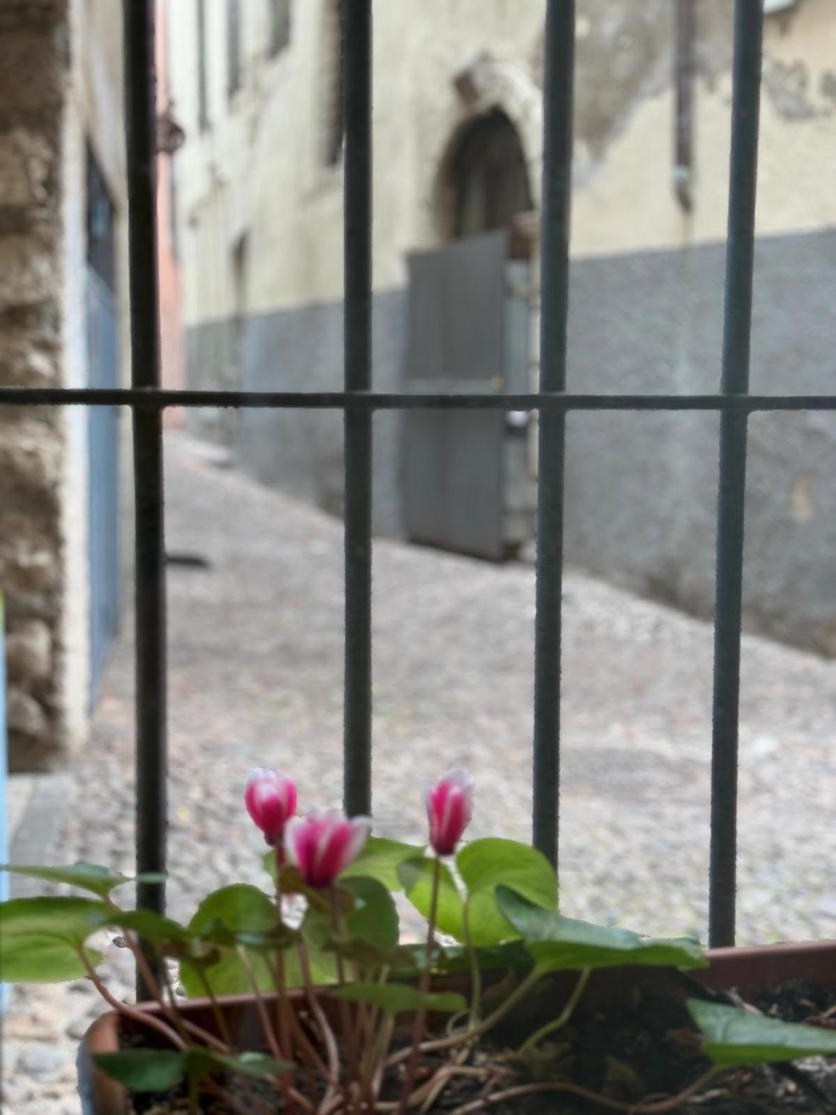 Duomo Nest Entire Apartment Trento Kültér fotó
